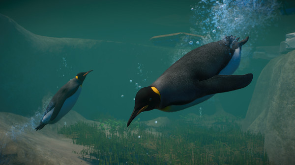 KHAiHOM.com - Planet Zoo: Aquatic Pack