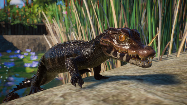 Planet Zoo: Aquatic Pack.