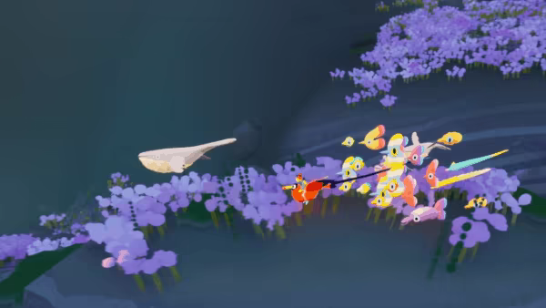 Flock video 3