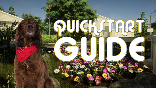 Animal Doctor - Digital Supporter Pack