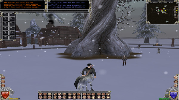 Shadowbane Screenshot