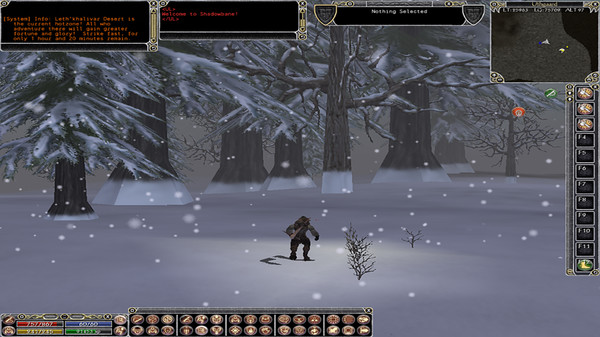 Shadowbane Screenshot