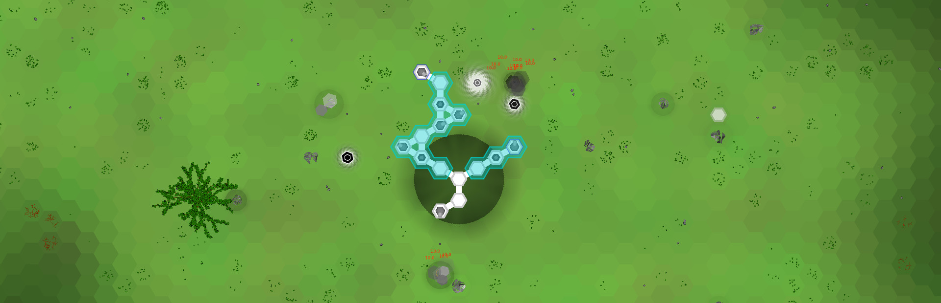 Role of Hex