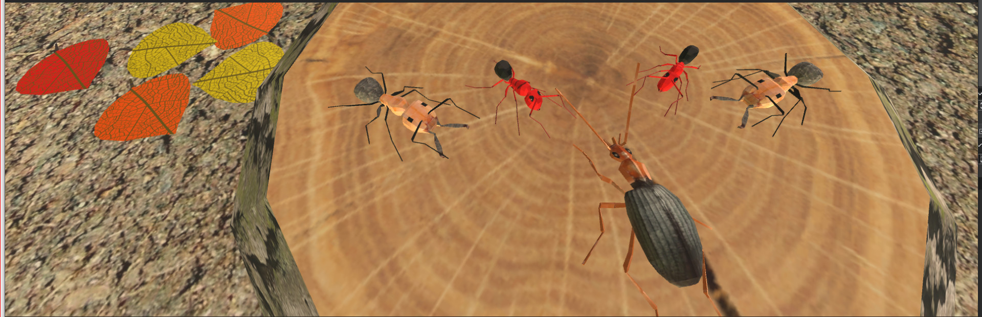 Insect: Bombardier beetle