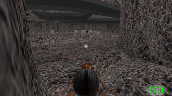 Screenshot z Insect: Bombardier beetle Screenshot z Insect: Bombardier beetle