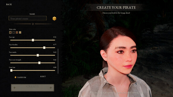 Pirates Republic — 8