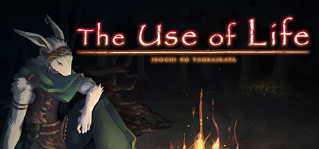 The Use of Life technical specifications for computer