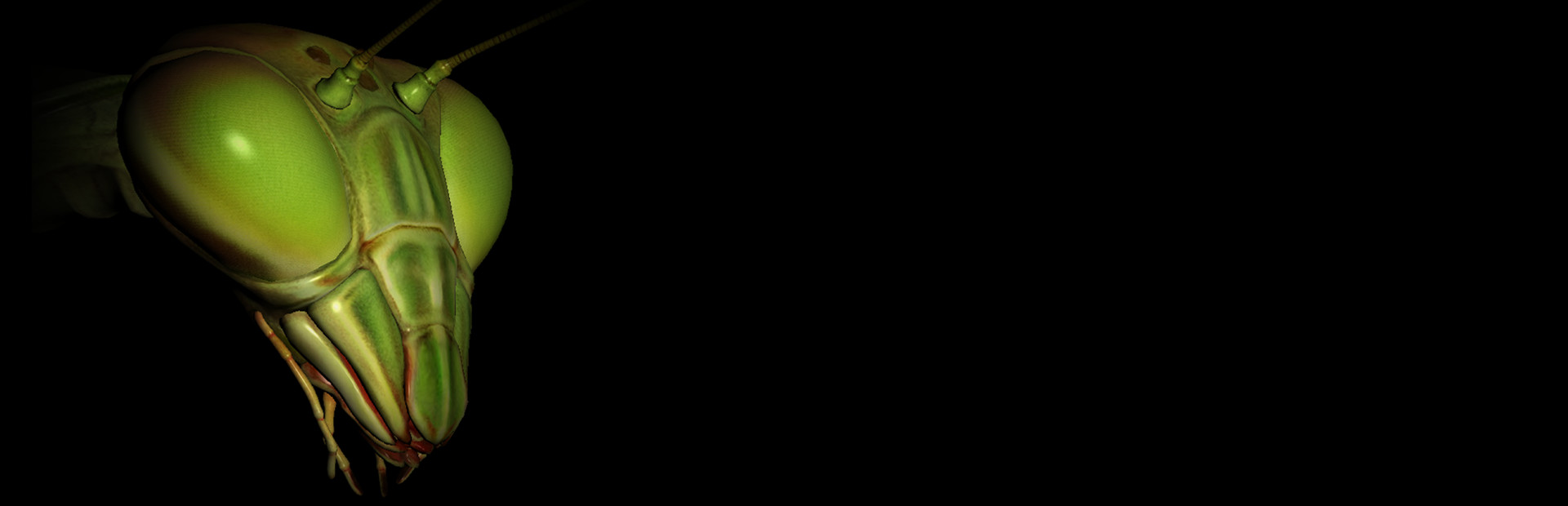 YABAI MANTIS VR