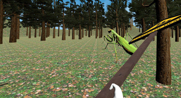 Thumbnail 9