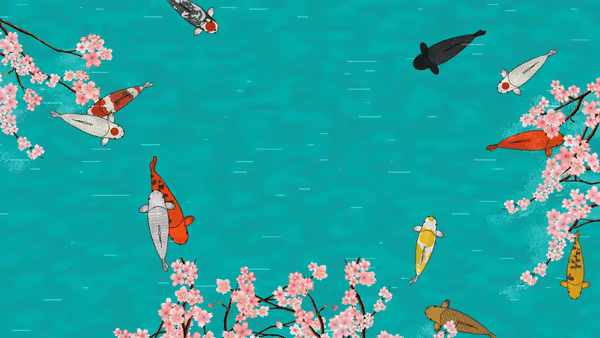 Koi Land video 3