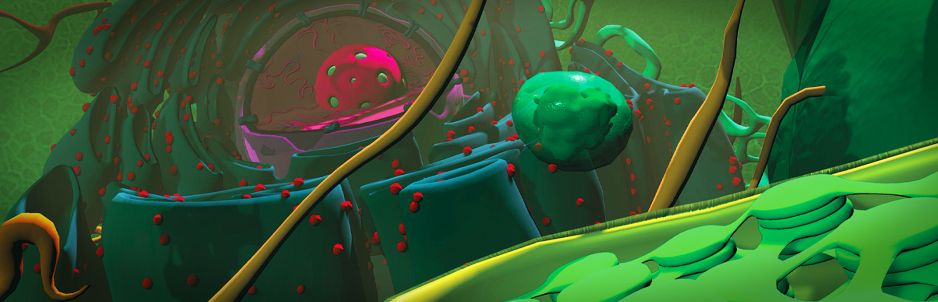 VR Plant Journey