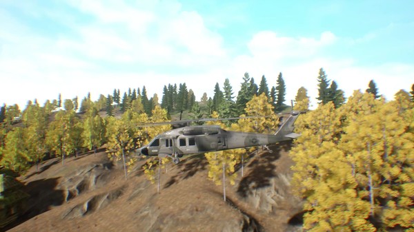 Thumbnail 11