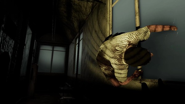 Thumbnail 11