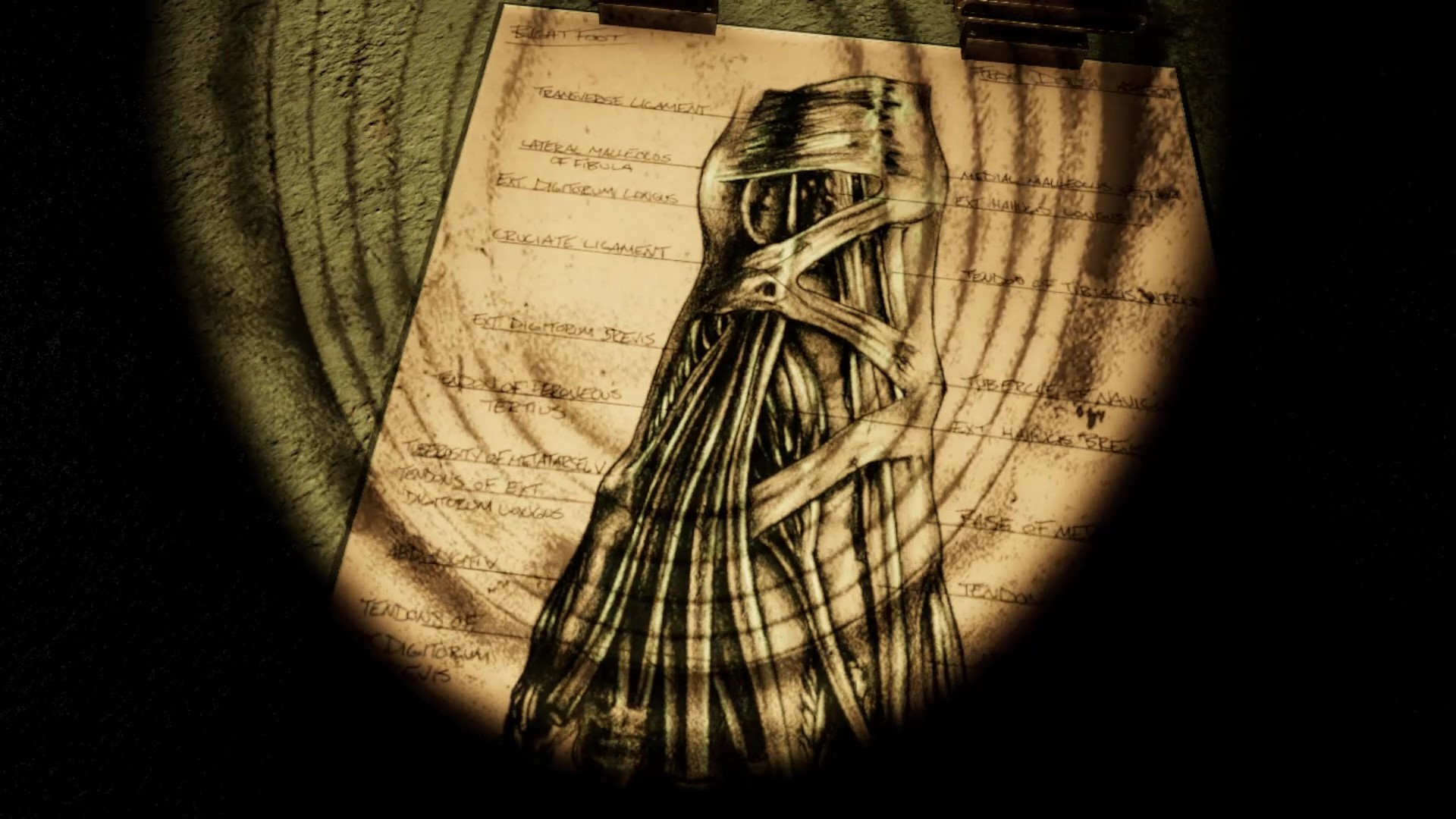 Crowhille - Detective Case Files VR screenshot #15