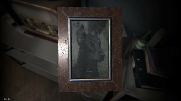 Thumbnail 8