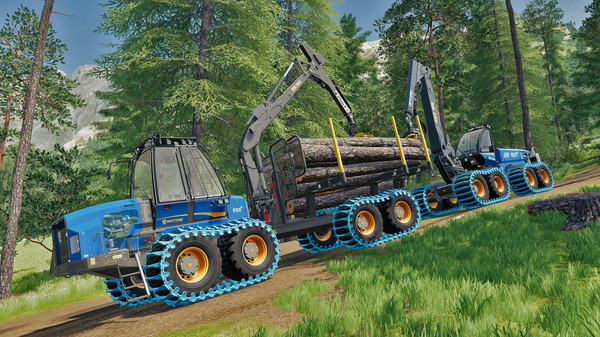 Full Size Image