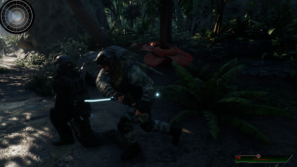 Thumbnail 12