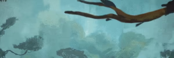 Oakenfold video 4