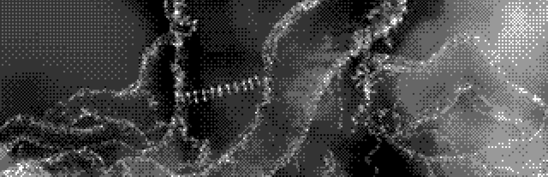 BulletGarden