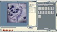 Screenshot #1