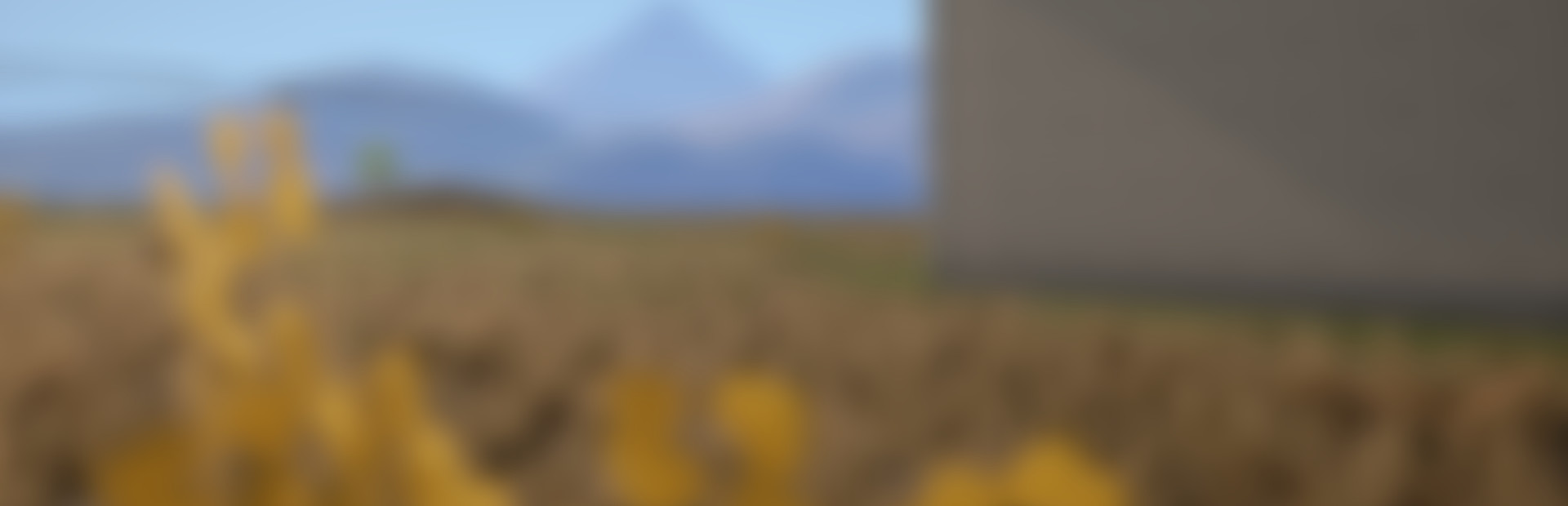 Runner