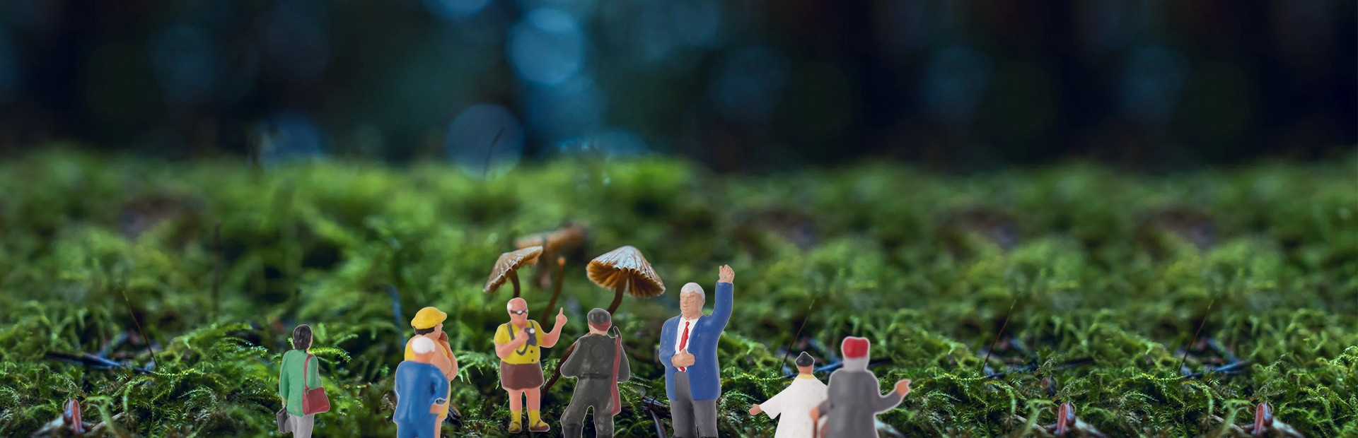 VR Wonderland: mini civilizations in a forest