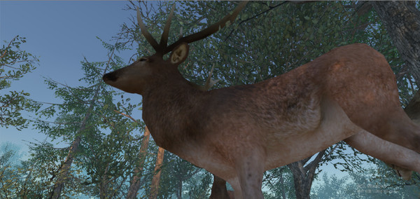 Thumbnail 29
