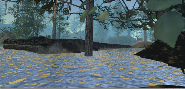 Thumbnail 30