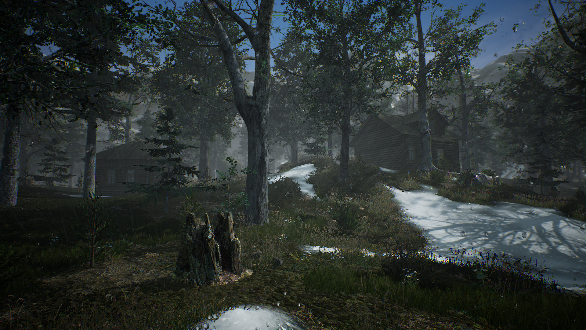 The Frost Rebirth