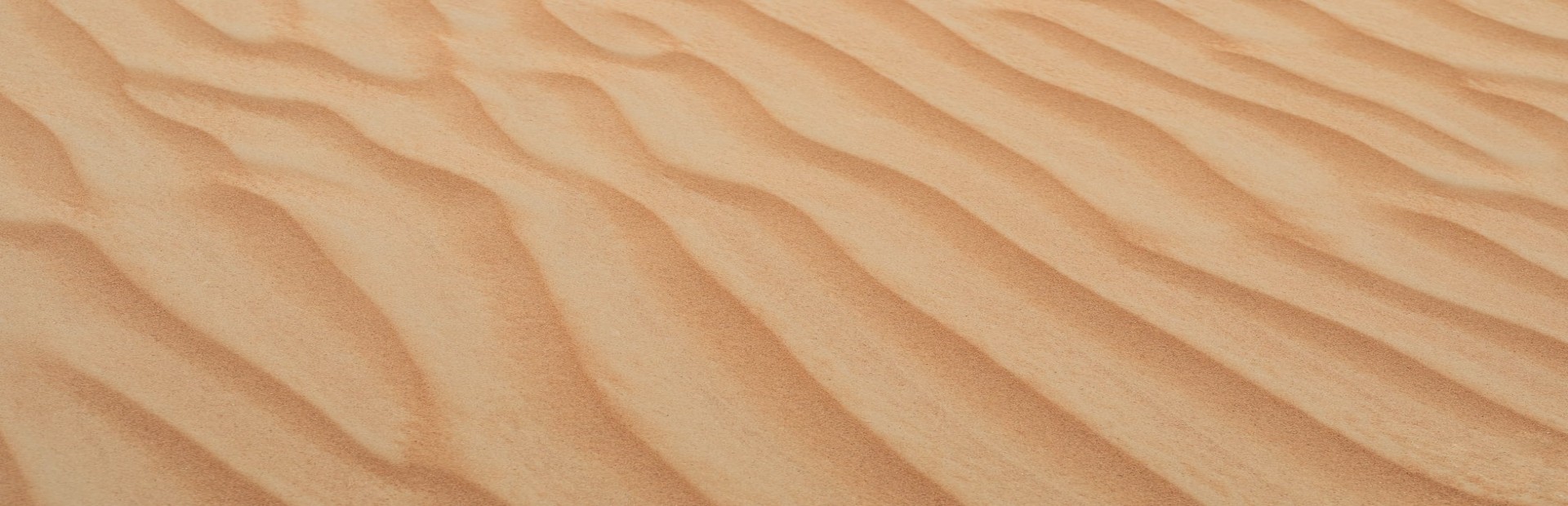 Desert Mystery