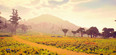 Screenshot #7