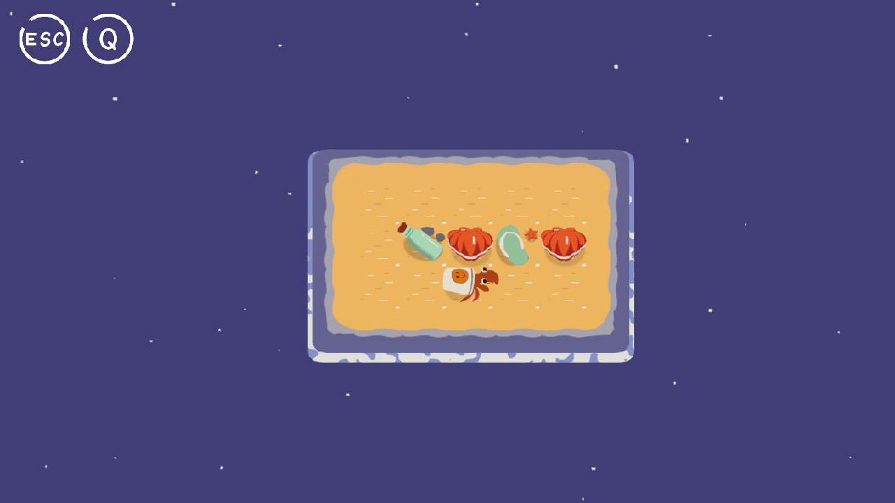 A hermit crab is finding a house