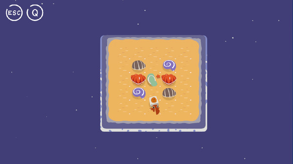 A hermit crab is finding a house screenshot 3