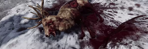 FRIGID VR video 4