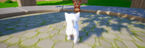 Cat Go! Ultimate Challenge video 2