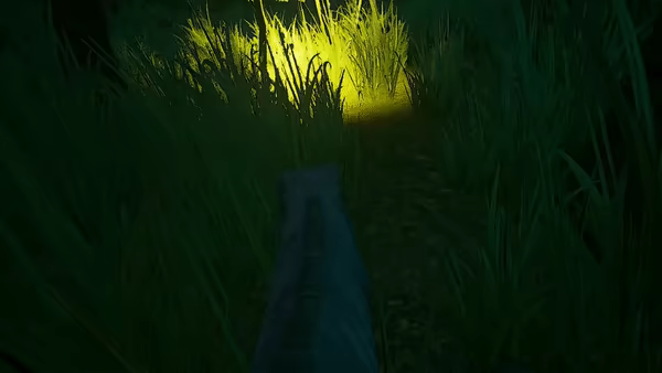 VHAIP video 1