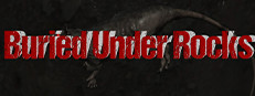 Buried Under Rocks