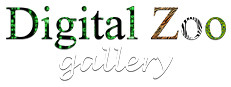 Digital Zoo Gallery