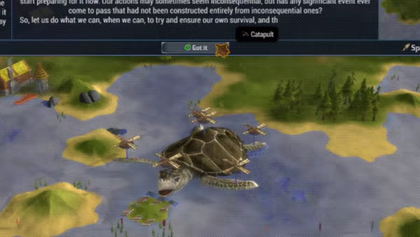 World Turtles video 8