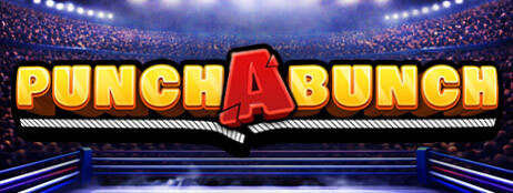 Punch A Bunch cover art