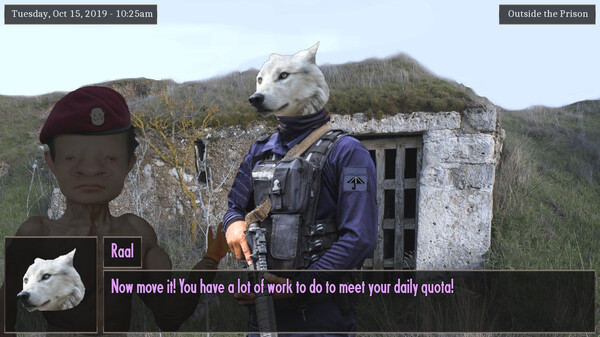 Thumbnail 13