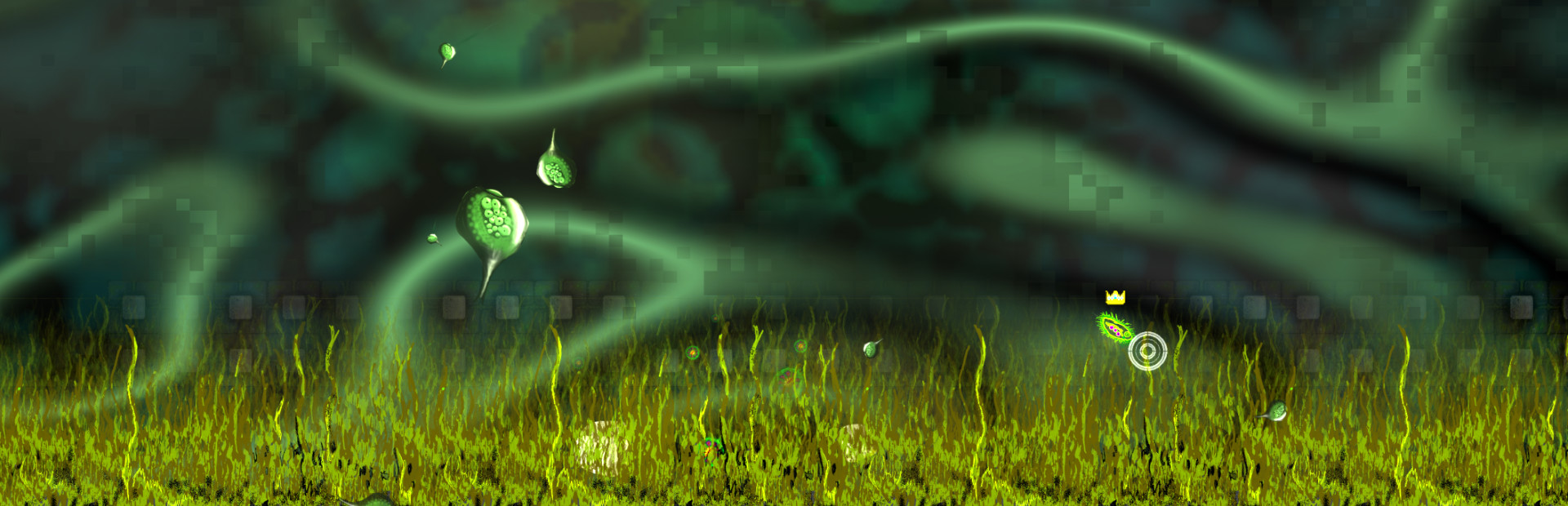 Pond Scum