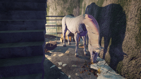 screenshot9