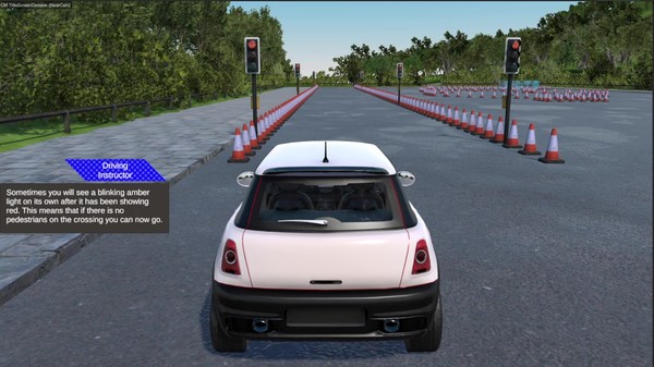 Virtual Driving School