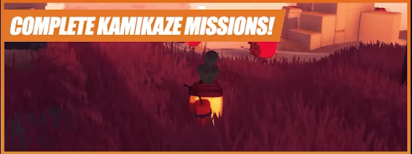Kamikaze Veggies video 3