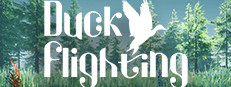 Duck Flight Simulator 2021