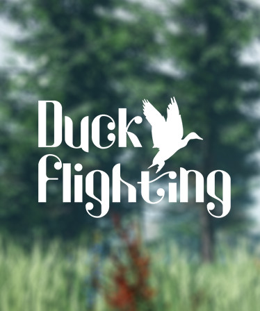 Duck Flight Simulator 2021