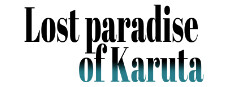 Lost paradise of Karuta Small Capsule Image