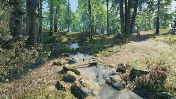 Thumbnail 19
