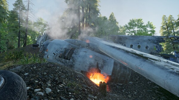 Thumbnail 22